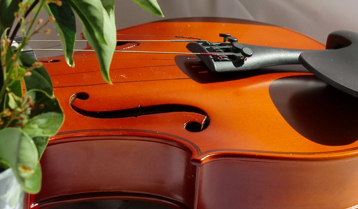 Understanding the Role of the Second Violin